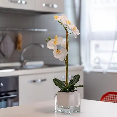 Apartmán Confortevole Alghero